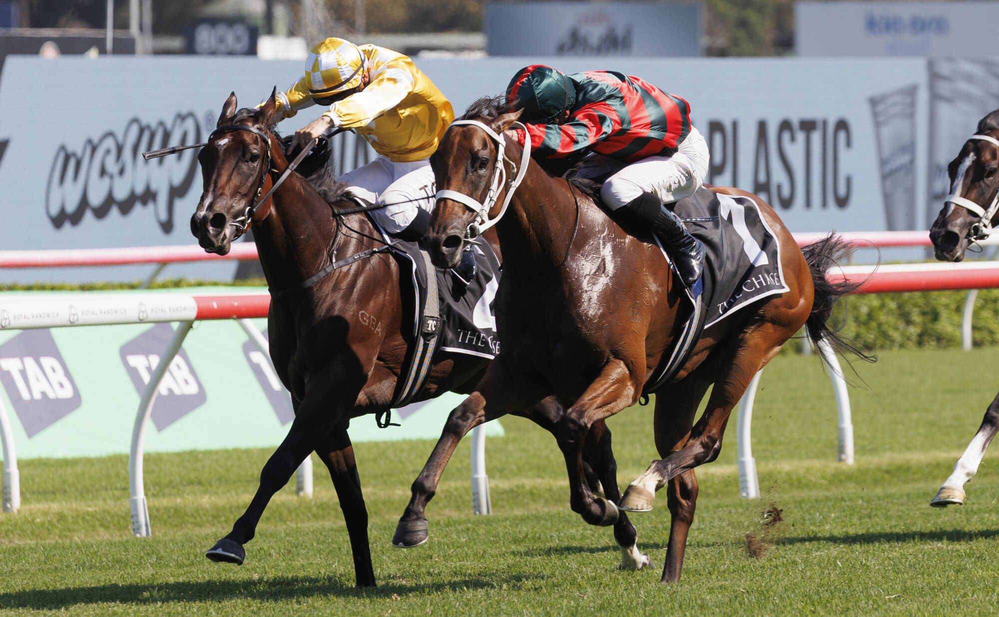 Lady Of Camelot fighting out the finish with Lady Shenandoah at Royal Randwick