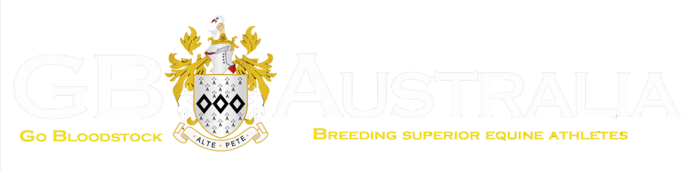 Go Bloodstock